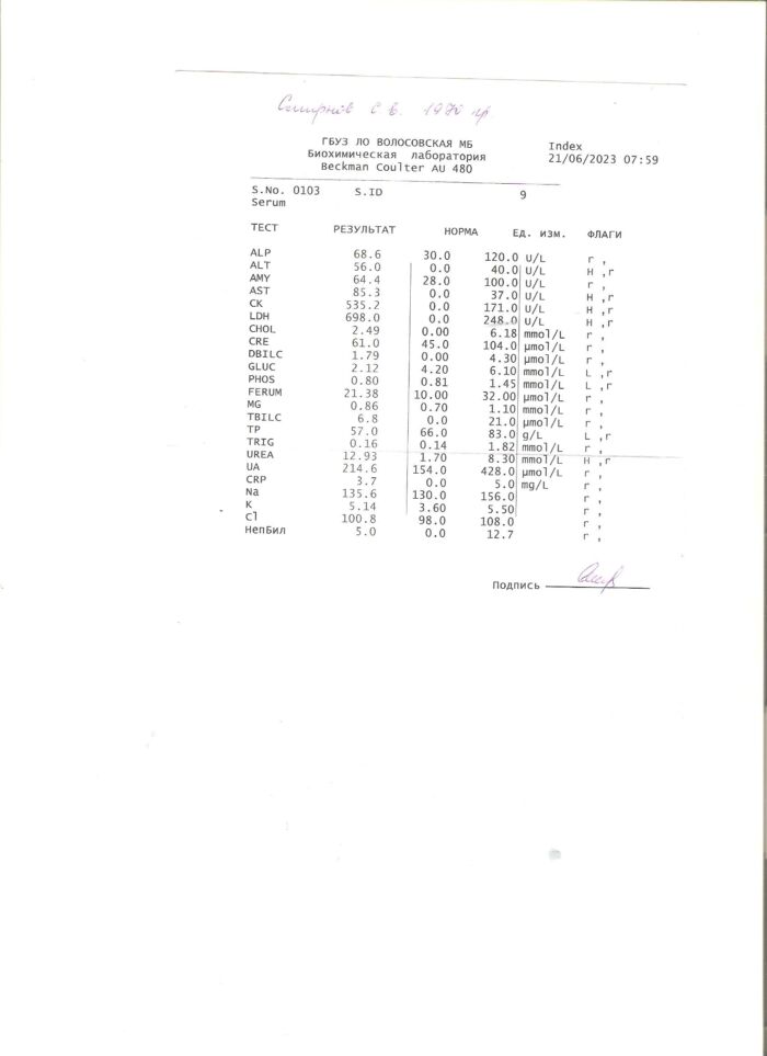 Биохимический анализ крови Смирнова С. Е.